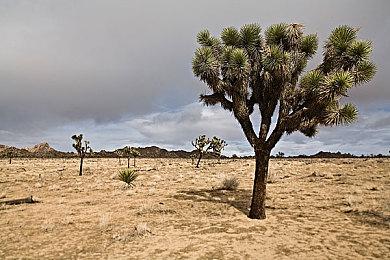 Microids公布知名动漫《哥普拉》改编游戏