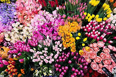 《盗贼之海》第十七赛季悄然启航 接受高风险运输委托